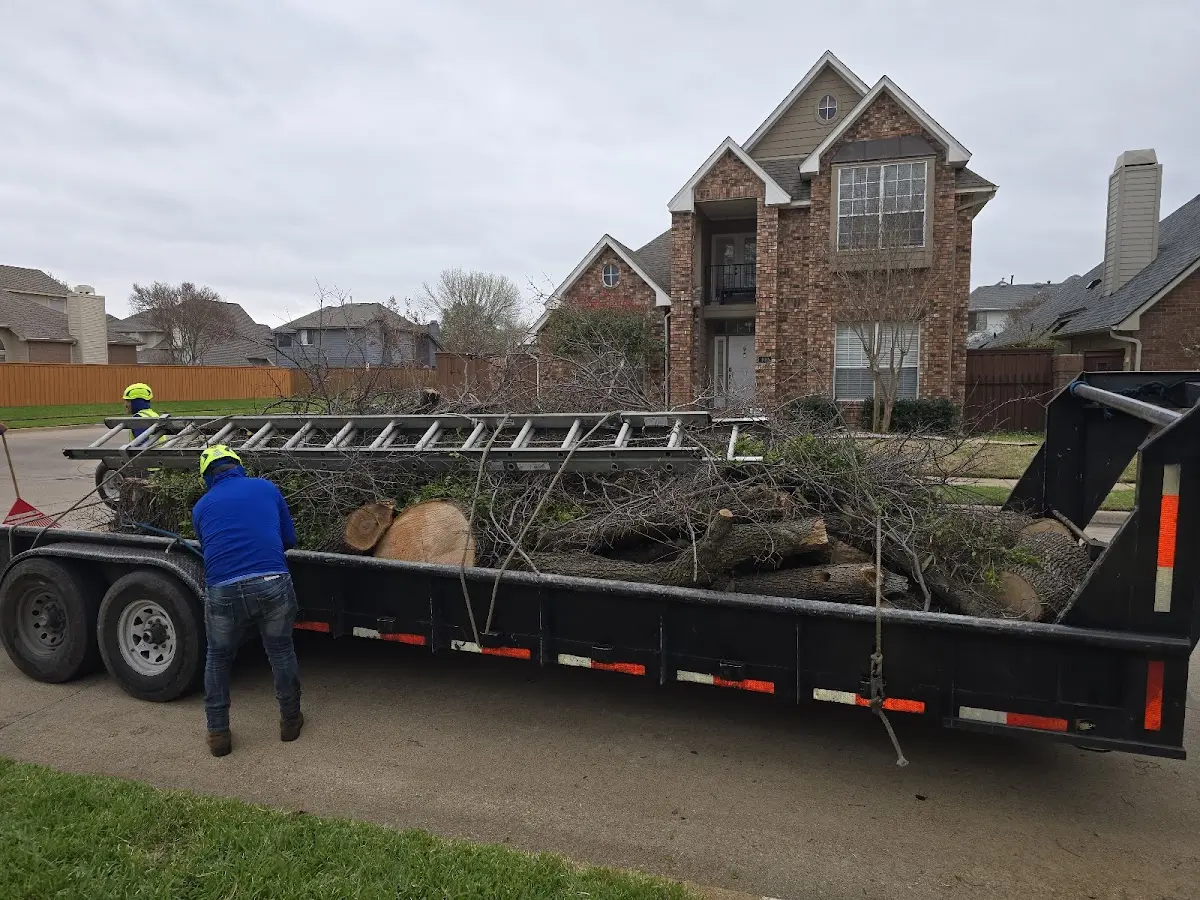 Expert Tree Removal with proper safety equipment in Tell City